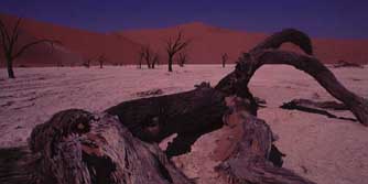 Südafrika, Namibia: Namibia: Wüste Namib, Damaraland & Etoscha - Dünen von Sossusvlei in der Namib